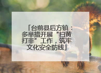 台前县后方镇：多举措开展“扫黄打非”工作，筑牢文化安全防线