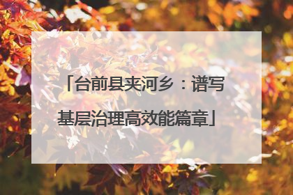 台前县夹河乡：谱写基层治理高效能篇章
