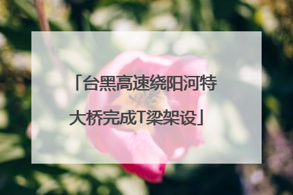 台黑高速绕阳河特大桥完成T梁架设