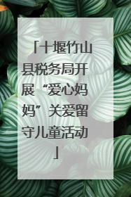 十堰竹山县税务局开展“爱心妈妈”关爱留守儿童活动
