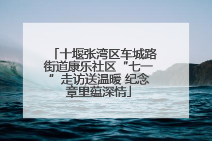 十堰张湾区车城路街道康乐社区“七一”走访送温暖 纪念章里蕴深情