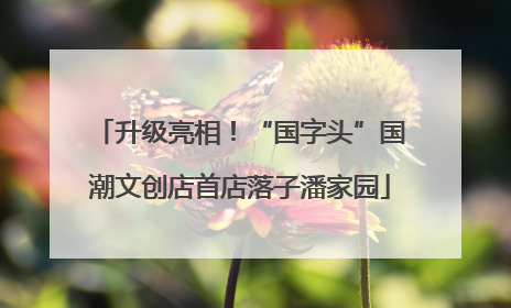 升级亮相！“国字头”国潮文创店首店落子潘家园