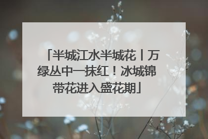 半城江水半城花丨万绿丛中一抹红！冰城锦带花进入盛花期
