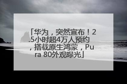 华为，突然宣布！2.5小时超4万人预约，搭载原生鸿蒙，Pura 80外观曝光