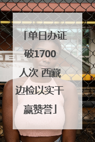 单日办证破1700人次 西藏边检以实干赢赞誉