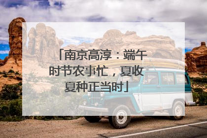 南京高淳：端午时节农事忙，夏收夏种正当时
