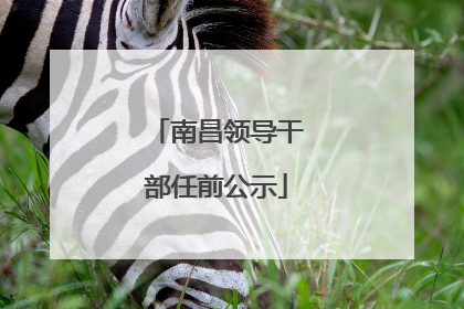 南昌领导干部任前公示