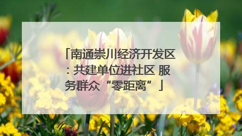 南通崇川经济开发区：共建单位进社区 服务群众“零距离”