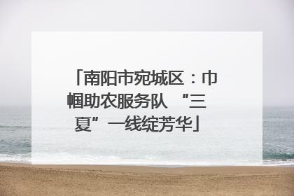 南阳市宛城区：巾帼助农服务队 “三夏”一线绽芳华