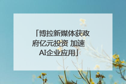 博拉新媒体获政府亿元投资 加速AI企业应用