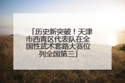 历史新突破！天津市西青区代表队在全国性武术套路大赛位列全国第三