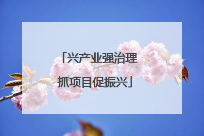 兴产业强治理 抓项目促振兴