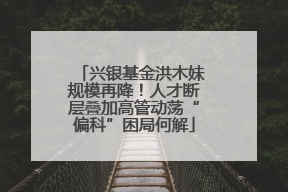 兴银基金洪木妹规模再降！人才断层叠加高管动荡“偏科”困局何解