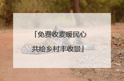 免费收麦暖民心 共绘乡村丰收景
