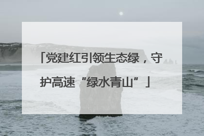 党建红引领生态绿，守护高速“绿水青山”