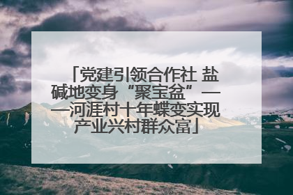 党建引领合作社 盐碱地变身“聚宝盆”——河涯村十年蝶变实现产业兴村群众富