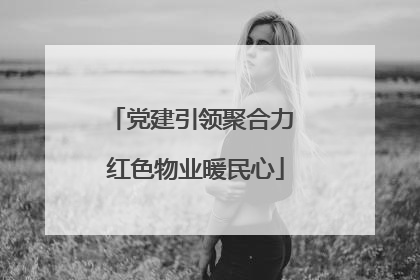 党建引领聚合力 红色物业暖民心