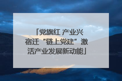 党旗红 产业兴 宿迁“链上党建”激活产业发展新动能