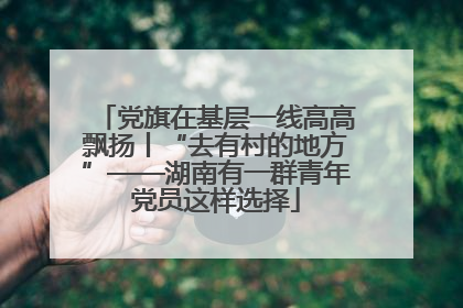 党旗在基层一线高高飘扬丨“去有村的地方”——湖南有一群青年党员这样选择