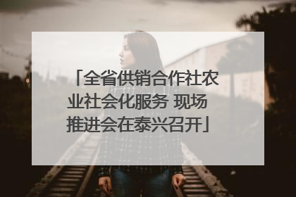 全省供销合作社农业社会化服务 现场推进会在泰兴召开