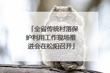 全省传统村落保护利用工作现场推进会在松阳召开