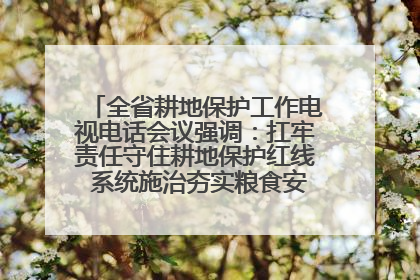 全省耕地保护工作电视电话会议强调：扛牢责任守住耕地保护红线 系统施治夯实粮食安全根基 王宁作出批示 王予波出席并讲话