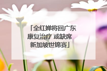 全红婵将回广东康复治疗 或缺席新加坡世锦赛