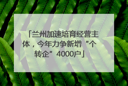 兰州加速培育经营主体，今年力争新增“个转企”4000户