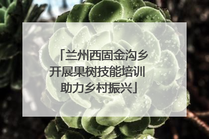 兰州西固金沟乡开展果树技能培训 助力乡村振兴