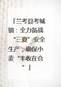 兰考县考城镇：全力备战“三夏”安全生产，确保小麦“丰收在仓”