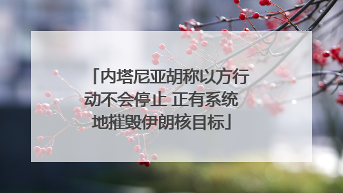 内塔尼亚胡称以方行动不会停止 正有系统地摧毁伊朗核目标