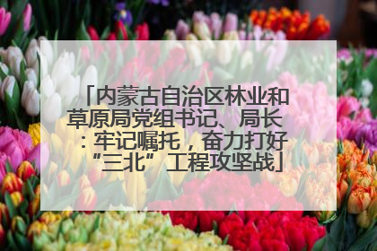 内蒙古自治区林业和草原局党组书记、局长：牢记嘱托，奋力打好“三北”工程攻坚战