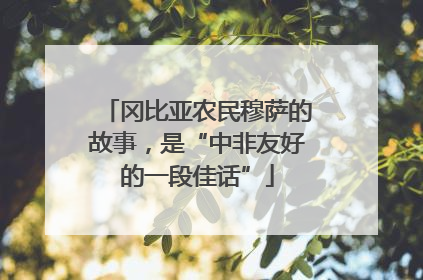冈比亚农民穆萨的故事，是“中非友好的一段佳话”