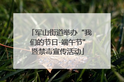 军山街道举办“我们的节日-端午节”暨禁毒宣传活动