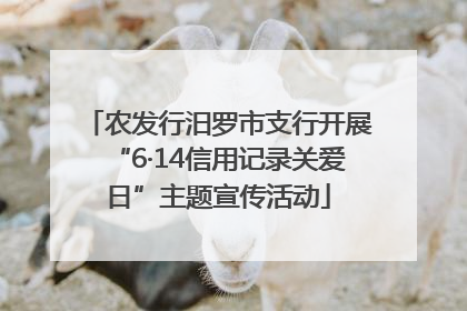 农发行汨罗市支行开展“6·14信用记录关爱日”主题宣传活动