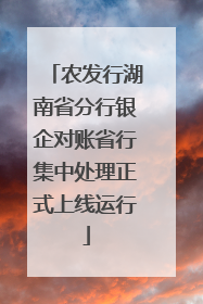 农发行湖南省分行银企对账省行集中处理正式上线运行