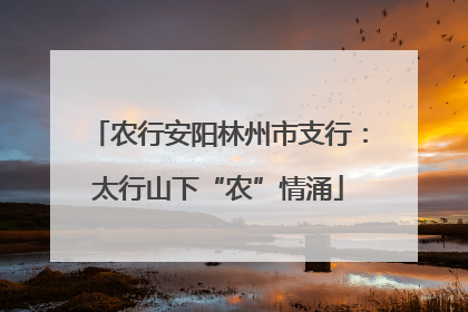 农行安阳林州市支行：太行山下“农”情涌