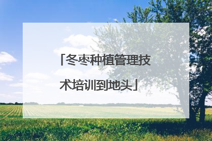 冬枣种植管理技术培训到地头