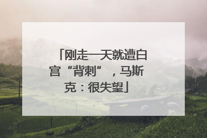 刚走一天就遭白宫“背刺”，马斯克：很失望