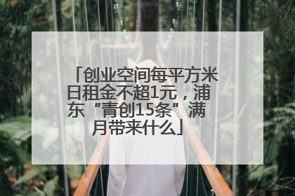 创业空间每平方米日租金不超1元，浦东“青创15条”满月带来什么