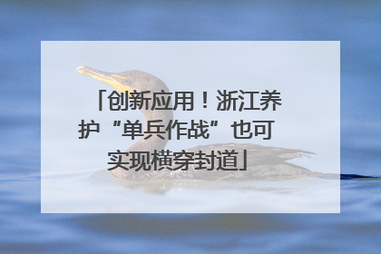 创新应用！浙江养护“单兵作战”也可实现横穿封道