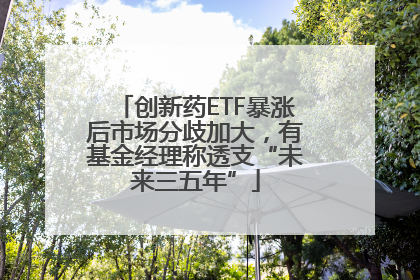 创新药ETF暴涨后市场分歧加大，有基金经理称透支“未来三五年”