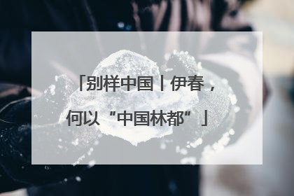 别样中国丨伊春，何以“中国林都”