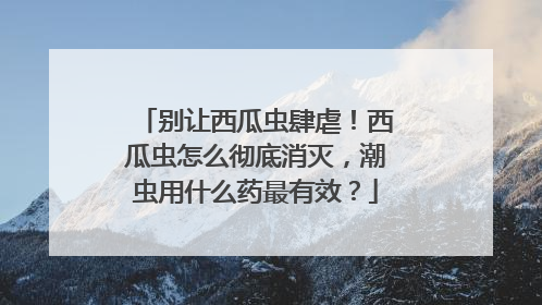 别让西瓜虫肆虐！西瓜虫怎么彻底消灭，潮虫用什么药最有效？