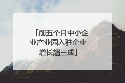 前五个月中小企业产业园入驻企业增长超三成