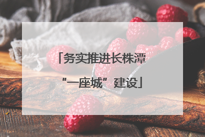 务实推进长株潭“一座城”建设