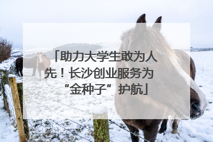 助力大学生敢为人先！长沙创业服务为“金种子”护航