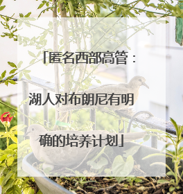 匿名西部高管：湖人对布朗尼有明确的培养计划