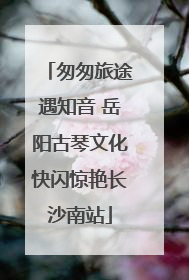 匆匆旅途遇知音 岳阳古琴文化快闪惊艳长沙南站