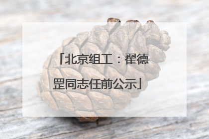 北京组工：翟德罡同志任前公示